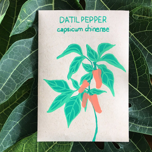 DATIL PEPPER (CAPSICUM CHINENSE) 30 SEEDS